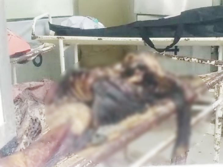 Rats Eat Human Dead Body In Madhya Pradesh Unique Hospital In Indore | इंदौर  में 87 साल के बुजुर्ग के शव को चूहों ने कुतरा, एक लाख जमा करने के बाद ही