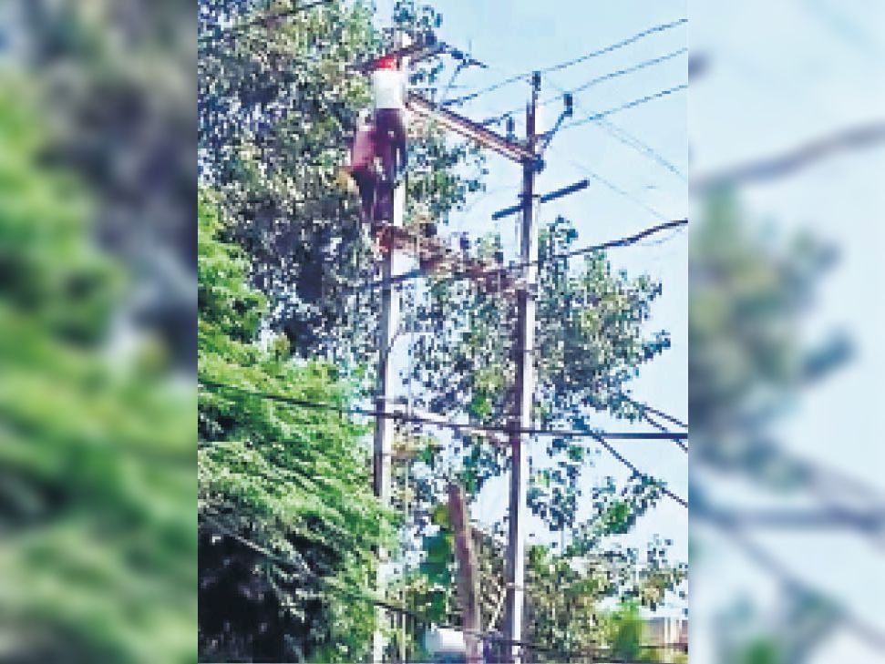 Electricity connection was cut in the morning, the municipal