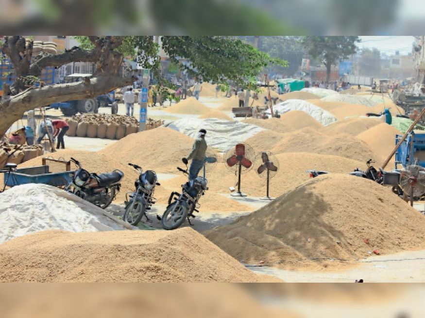 From today onwards, farmers and laborers will get food in the canteen