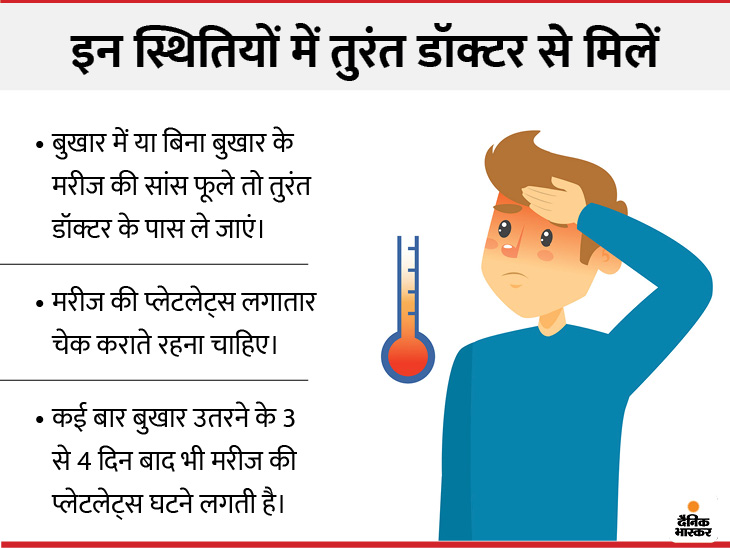 टाइगर मच्छर लोगों को कर रहा बीमार, डेंगू और कोरोना के कई लक्षण एक जैसे हैं, जानिए डेंगू से कैसे बचें