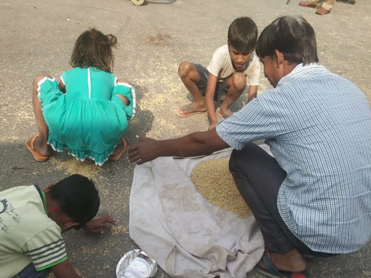 बच्चों ने सड़क पर बिखरे धान को बटोरा।