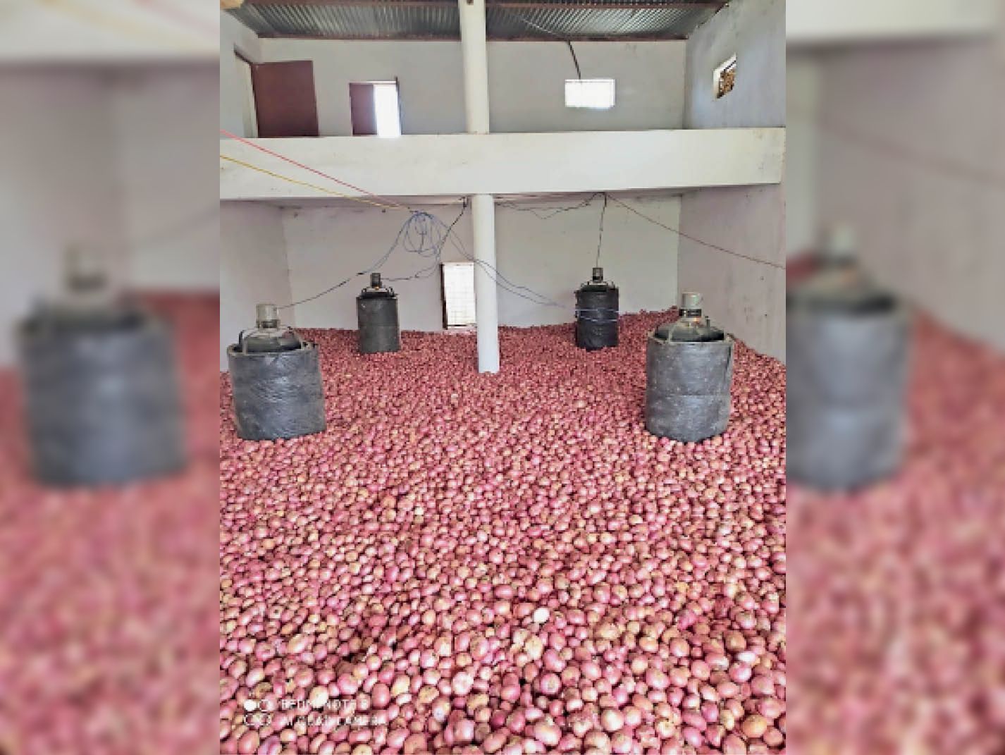 Onion storage done through indigenous method, Rs. 7.40 lakh in 5 months ...