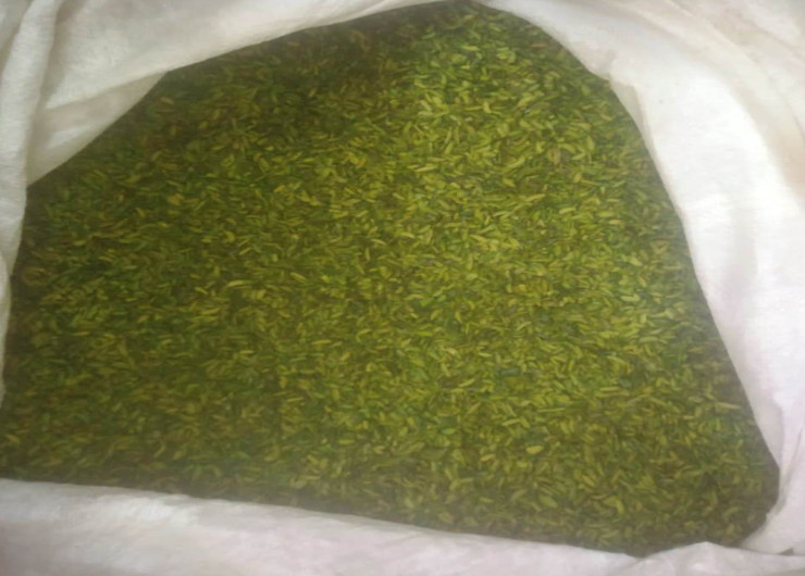 जसोरिया ट्रेडिंग कंपनी के व्यापारी मूंगफली की कटिंग में हरा रंग मिलाकर पिस्ता बताकर बेच रहे थे