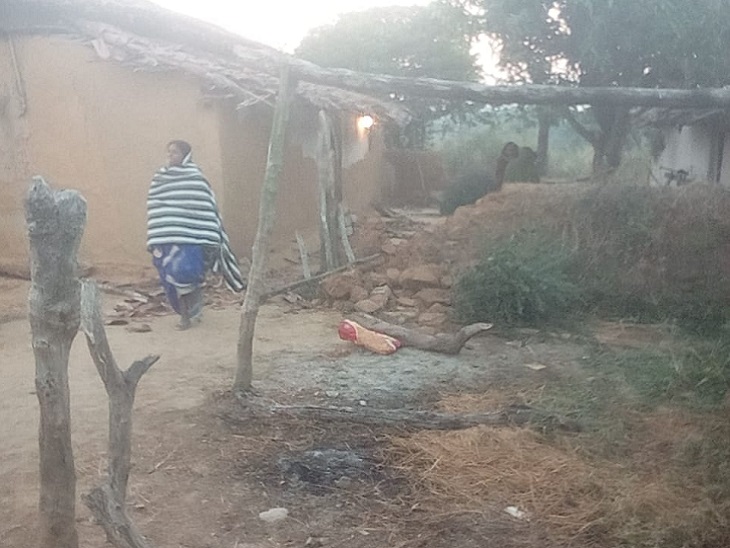 हाथियों ने 6 मकान तोड़ दिए। दो गाय और एक बकरी को पटक कर मार दिया। हमले में कई पशु घायल हुए हैं।