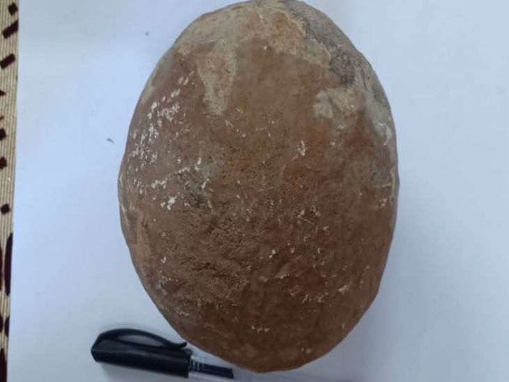 जबलपुर में बारह -से पंद्रह साइट्स हैं जहाँ से डायनासोर के अवशेष मिले। आगे की खोज में यह एरिया बढ़ सकता है। धार क्षेत्र भी प्राकतिक इतिहास के प्रारंभिक युग का साक्षी है।