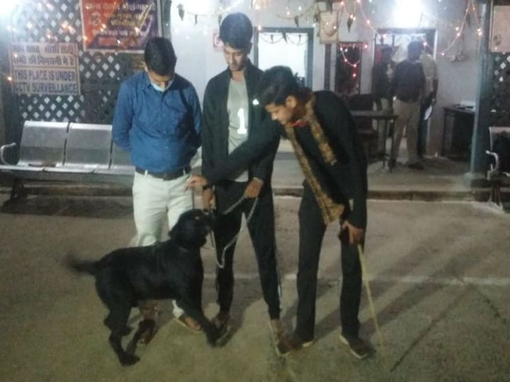 Dog Rakesh, Mentioned In Pm Narendra Modi Mann Ki Baat, Dies In Meerut