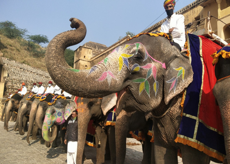 Unlocked Elephant ride after nine months in Jaipur, written on Maruti's
