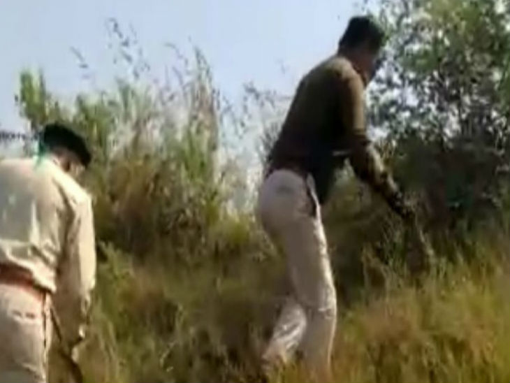 दोनों हाथी पर दूर से नजर रख रहे वन विभाग के कर्मी