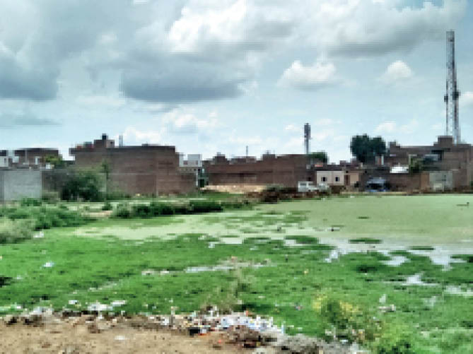 सिद्ध नगर क्षेत्र में बस्ती में हुआ जलभराव।
