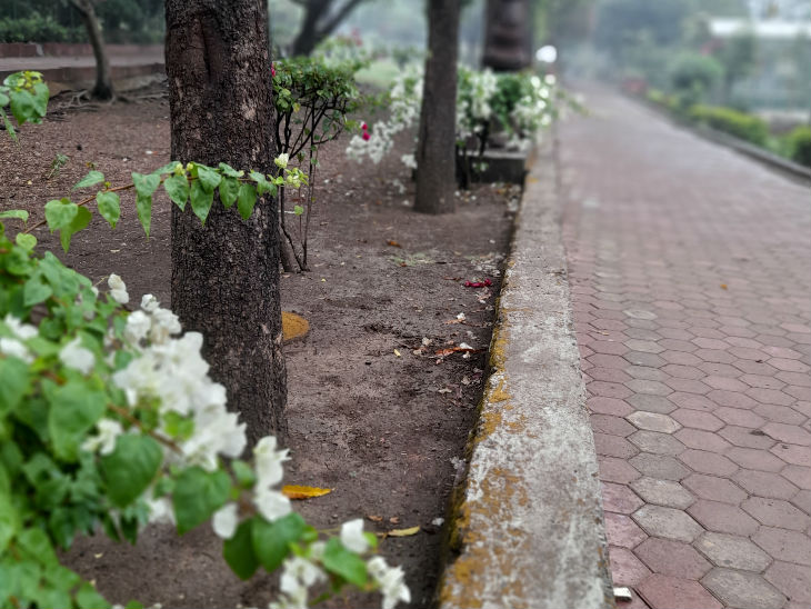 सुबह 10.30 बजे चिनार पार्क। बारिश के कारण यहां लोग नहीं पहुंचे।