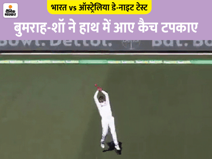 5 कैच छोड़ने के बावजूद इंडिया भारी: सबसे ज्यादा 73 रन बनाने वाले पेन को मयंक ने बाउंड्री पर ड्रॉप किया, लाबुशाने के 3 कैच छूटे