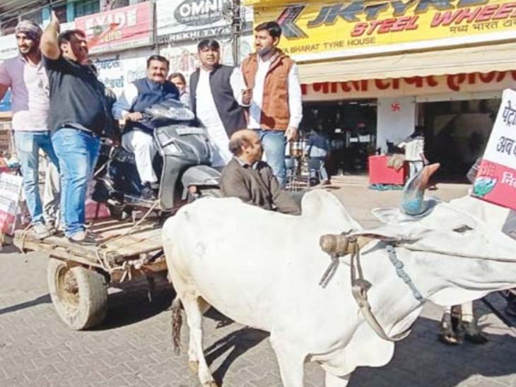 शहर अध्यक्ष विनय बाकलीवाल बैलगाड़ी पर स्कूटर रख बैठे।