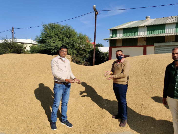 पाटन में एक साल पुरानी और कई किस्मों की मिक्स धान