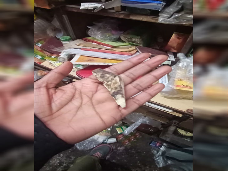 पंसारी की दुकान से बरामद टाइगर का दांत।