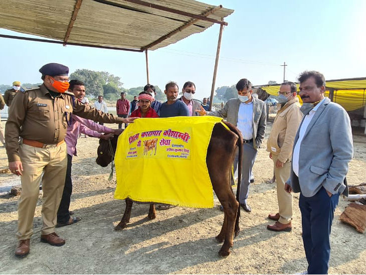 गौशालाओं को दिया जा रहा ये कवर।