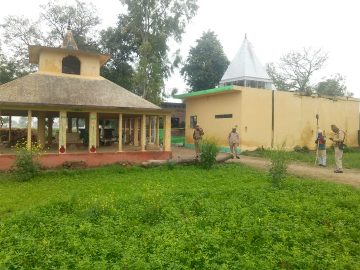 There is about 20 bighas of land near the temple. On which the crop is planted
