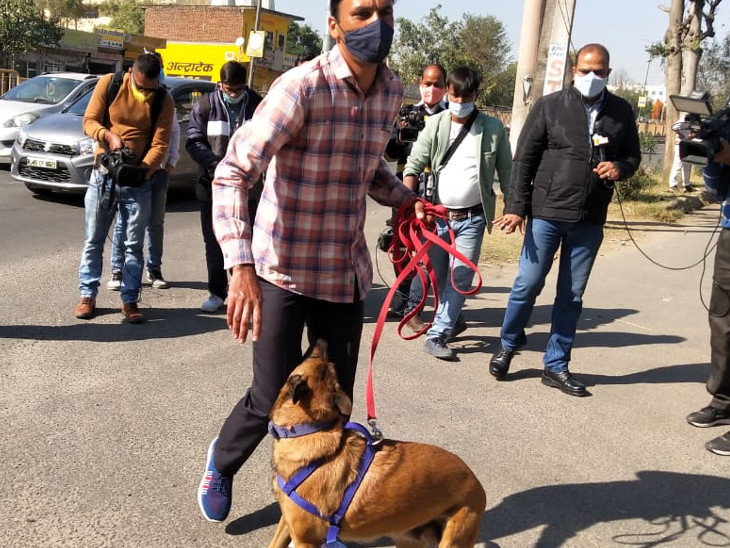 डॉक स्क्वॉड की टीम मौके पहुंची। जिसमें योना नाम के श्वान करीब आधा किलोमीटर के इलाके में घूमा। जो पड़ोस के आसपास के मकानों पर आकर ही रुक गया।