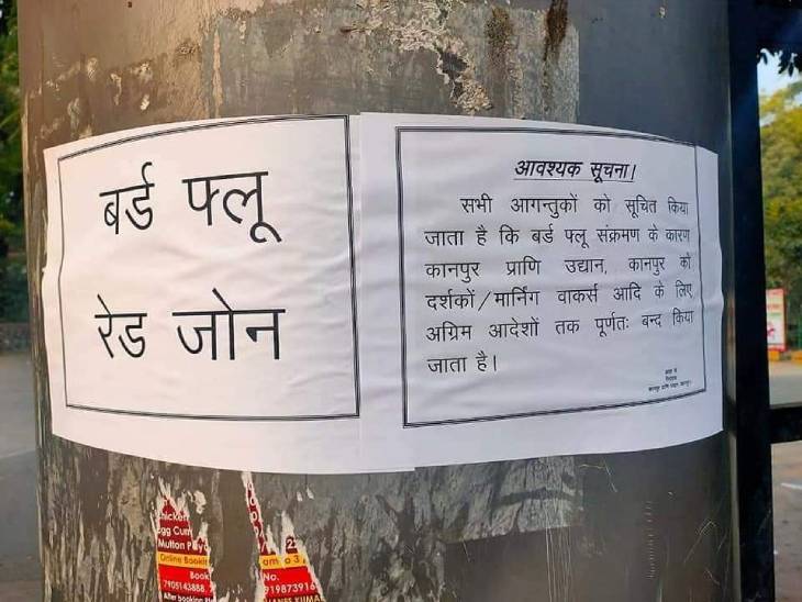 चिड़ियाघर को अगले आदेशों तक बंद रखा गया है।