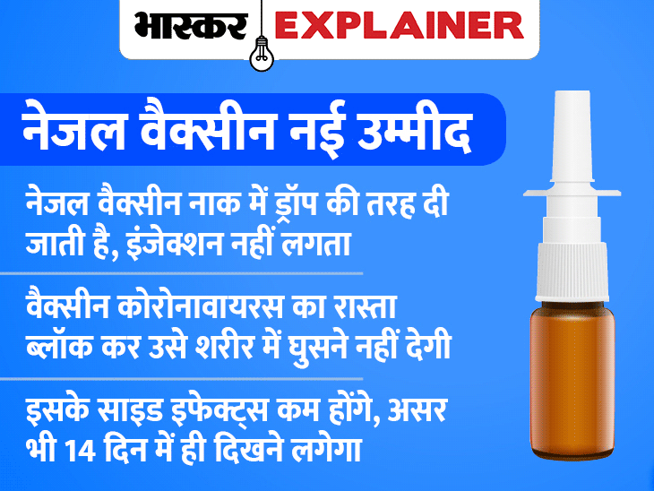 Bharat Biotech Vaccine Coronavirus Vaccine Tracker India Update