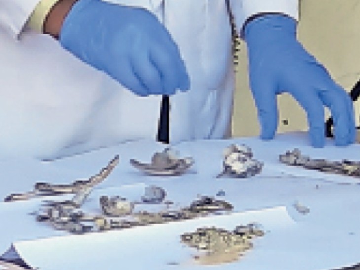 मंड्रेला-अस्थियों की जांच कर डीएनए टेस्ट के लिए जयपुर भेजा गया है।