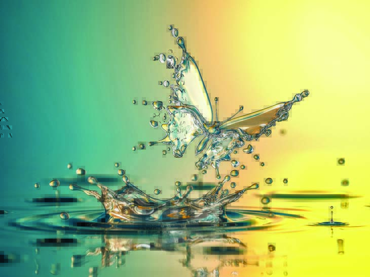 Is excess calcium in water harmful? निदान की पची क्या पानी में अधिक कैल्शियम हानिकारक है