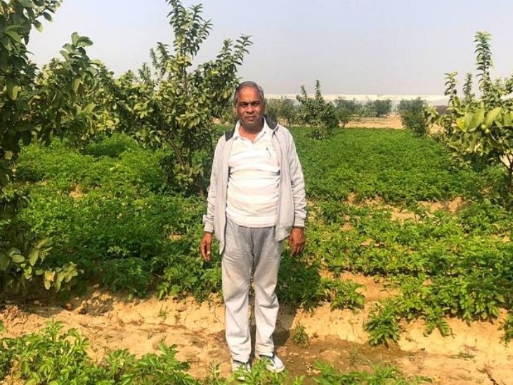 सुरेश का मानना है कि पढ़े-लिखे लोगों को फार्मिंग सेक्टर में आना चाहिए। ताकि किसानों को भरोसा मिले, उन्हें सही तरीके से गाइड किया जा सके।