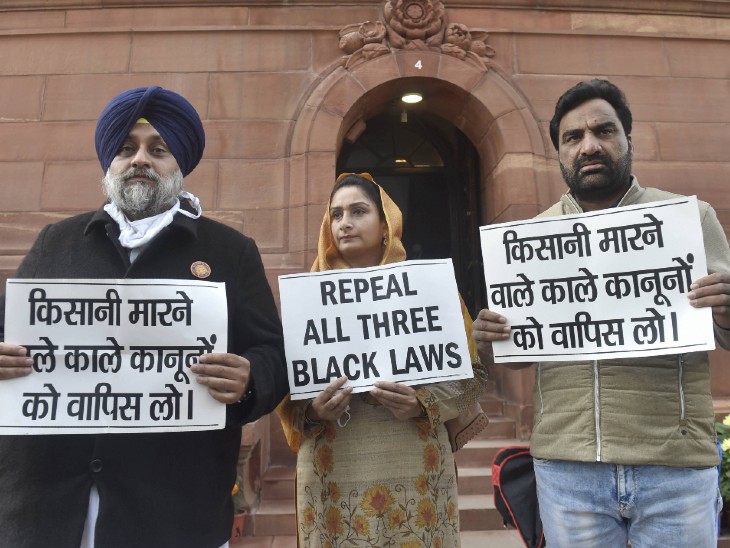 पूर्व मंत्री हरसिमरत कौर और अकाली नेताओं ने संसद में तख्तियां दिखाकर कृषि कानूनों का विरोध किया।