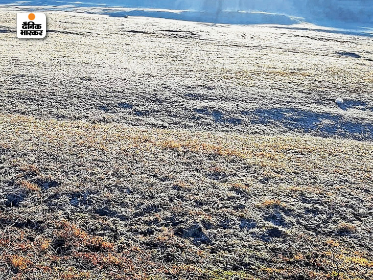 Mount Abu drops of dew on the ground in the morning.