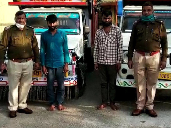 गिरोह के सदस्य कोटा बूंदी, बारां व झालावाड़ जिले में बाइक से रेकी करते थे। फिर मौका देखकर भैंसो को चुराते थे। चोरी की गई भैंसों को एमपी, यूपी व टोंक में ले जाकर बेचते थे