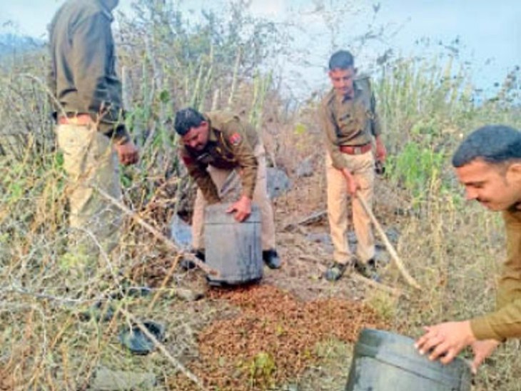 अवैध शराब भट्टी तोड़ती पुलिस की टीम।