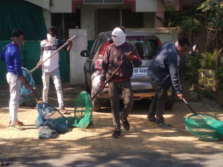 इस तरह कुत्तों को पकड़ती है नगर निगम की टीम।
