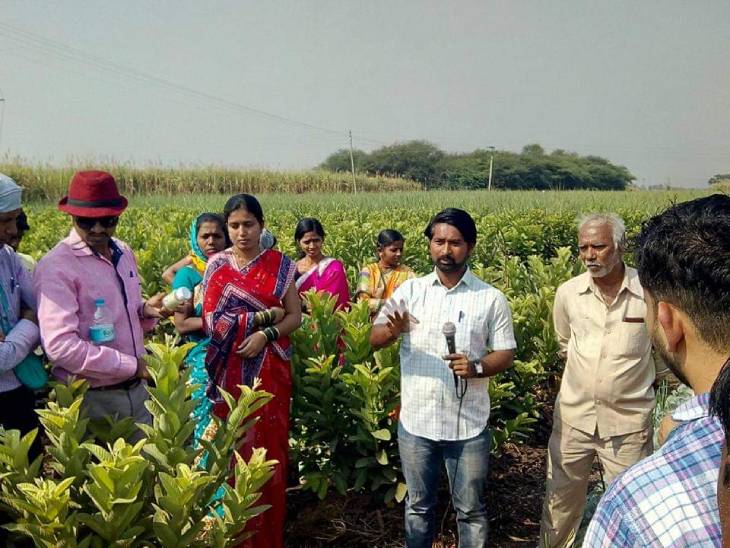 सचिन खुद की खेती के साथ-साथ दूसरे किसानों को भी ऑर्गेनिक फार्मिंग की ट्रेनिंग देते हैं।