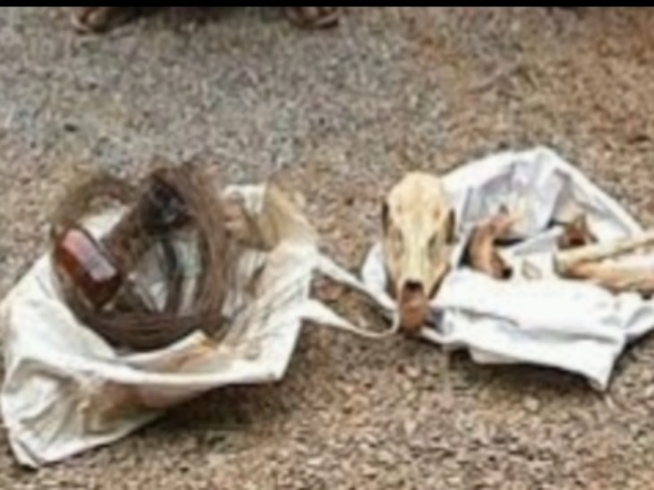 शिकारियों से बरामद चीतल का सिर, सींग व मास, साथ में वह तार कर करंट लगाकर उसे मारा गया