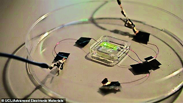 Professor Cacelli says that smart tattoos will give people a wide range of ways to track things.