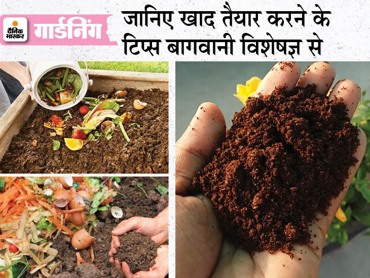 Prepare your own manure for the plant, know the tips to prepare manure