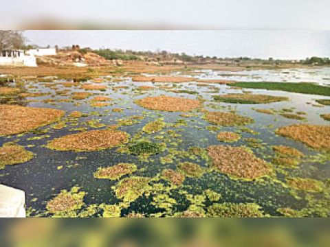 Two months of cleanliness of Karan Sagar as tender, now reissued