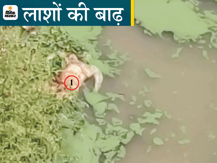 Top experts said - no evidence of coronavirus spreading from water, but other diseases can happen | टॉप एक्सपर्ट्स बोले- पानी से वायरस शरीर में जाने का सबूत नहीं, दूसरी बीमारियां हो सकती हैं 3 Top experts said - no evidence of coronavirus spreading from water, but other diseases can happen | टॉप एक्सपर्ट्स बोले- पानी से वायरस शरीर में जाने का सबूत नहीं, दूसरी बीमारियां हो सकती हैं - WPage - क्यूंकि हिंदी हमारी पहचान हैं