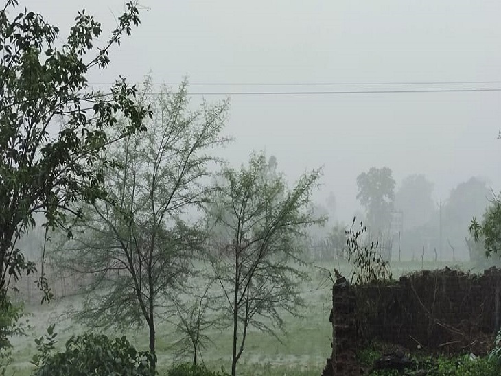 Chhattisgarh Rain News Update; Heavy Rain Recorded At Six Centers, Bhupesh Baghel to Deploy Relief Teams | छत्तीसगढ़ राज्य बनने के बाद पहली बार मानसून के आगमन पर सबसे ज्यादा बारिश, सरकार