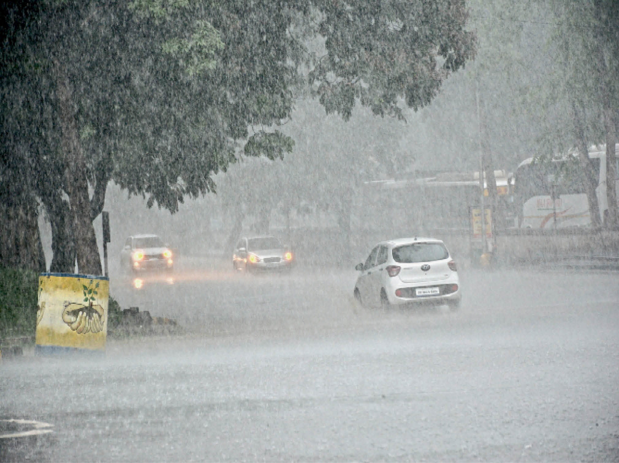 मानसून हुआ सक्रिय 52 मिलीमीटर बारिश, अगले दो दिनों तक ऐसा ही रहेगा मौसम |  Monsoon became active 52 mm of rain, weather will remain the same for the  next two days - Dainik Bhaskar