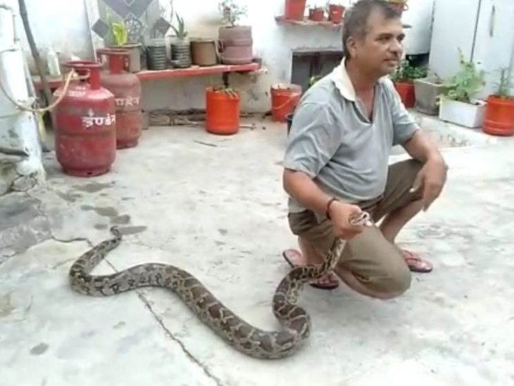 Children were playing in the courtyard of the house and a 10 feet long ...