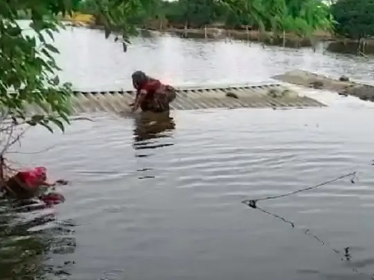 बड़गांव में 500 से ज्यादा घर बूढ़ी गंडक नदी के पानी में डूब गए हैं।