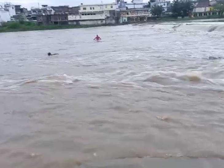 नर्मदा नदी के तेज बहाव में फंसा युवक।