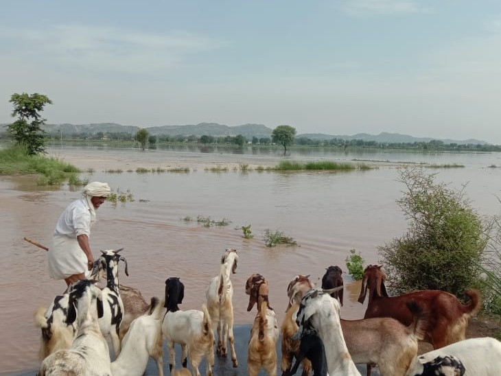 हुसैपुर का बांध टूटने के बाद खेतों में भरा पानी।