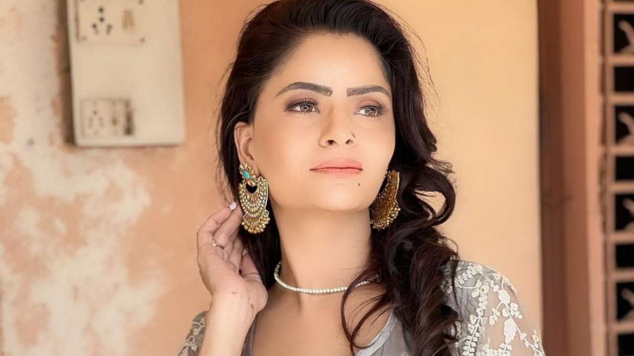 गहना वशिष्ठ पर भी अश्लील फिल्में बनाने का आरोप है। हाल ही में उन्हें इस मामले में जमानत मिली है।