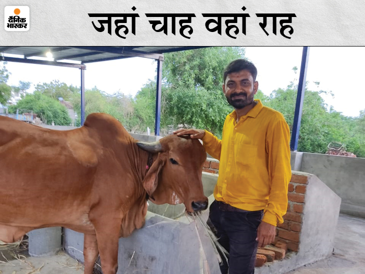 Ahmedabad Dairy Framing Business after losing job in coronavirus pandemic | लॉकडाउन में इंटीरियर डिजाइनिंग का बिजनेस बंद हुआ तो डेयरी फार्मिंग की शुरुआत की, पहले ही साल 7 लाख रुपए की कमाई - Vimarsana News