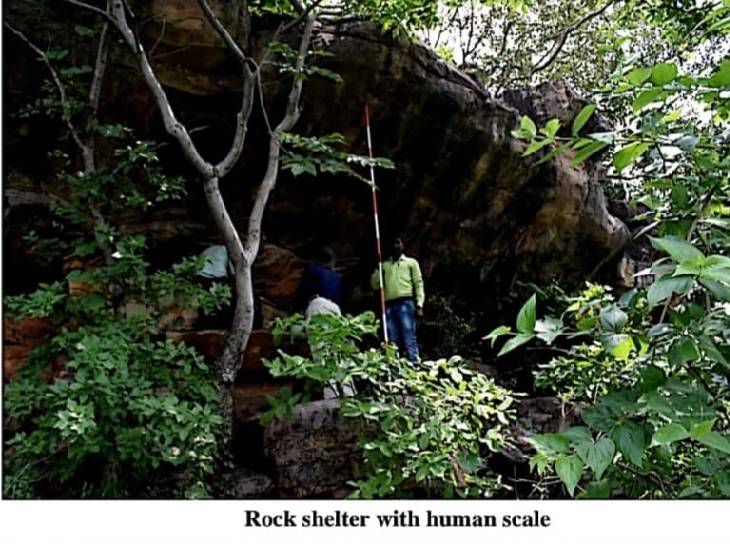 बक्सवाहा के जंगल में सर्वे के दौरान टीम।