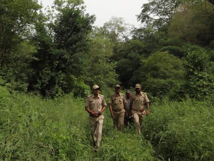 सरिस्का में बाघ को बचाने के लिए यह हरी फौज है। वन विभाग की टीम दिन रात लगी रहती है।