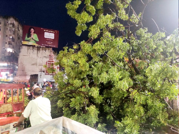 पेड़ का एक बड़ा हिस्सा मुख्य सड़क पर गिर गया।