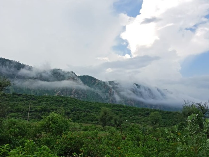 अलवर के सरिस्का क्षेत्र में शनिवार को इस तरह बादल पहाड़ों से नीचे तक आ गए। चारों तरफ हरियाली।