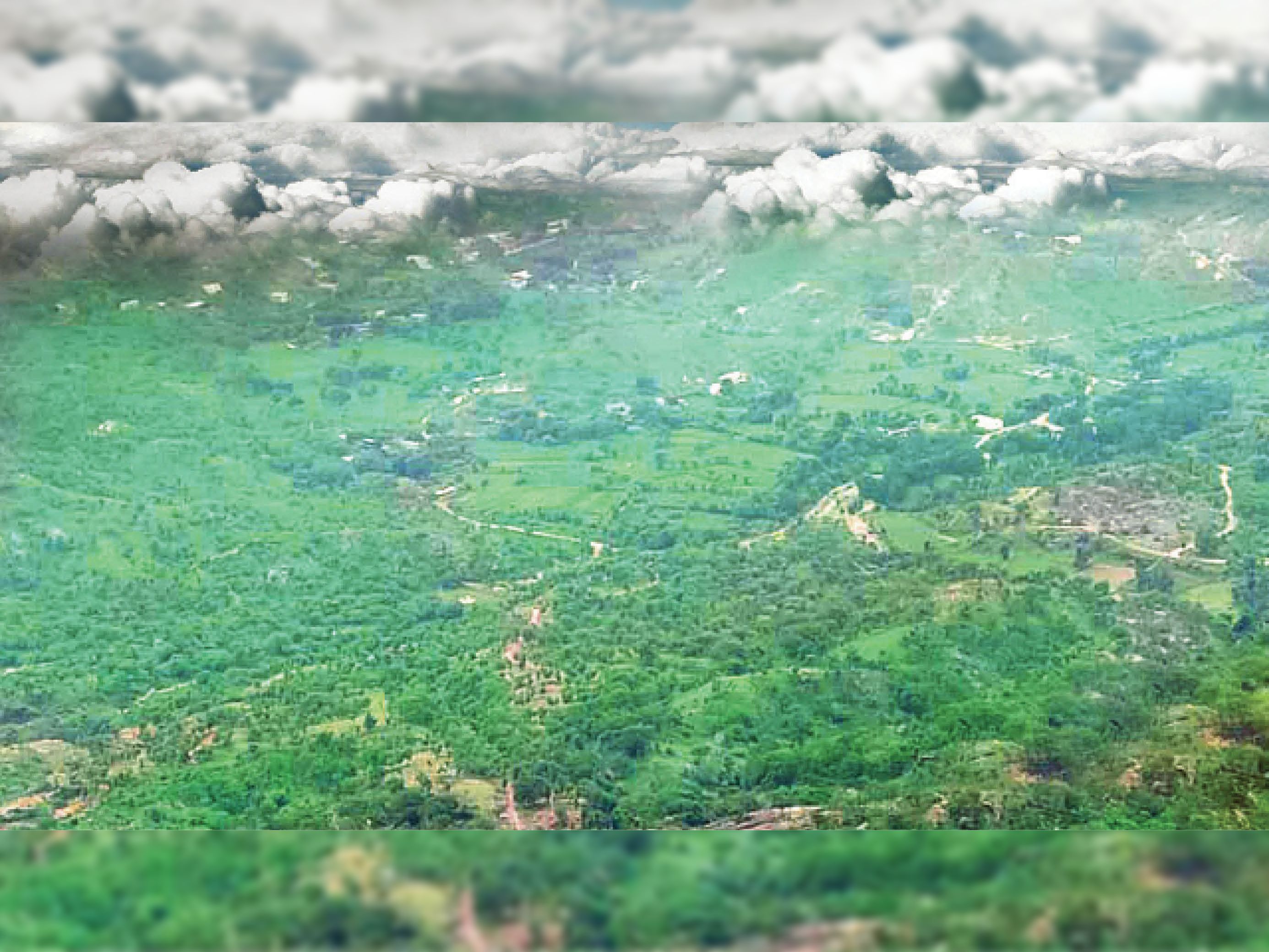 हरियाली को छूने उतर आए आसमां से बादल, मारवाड़ क्षेत्र में पिछले दिनों हुई अच्छी बारिश से गोरमघाट क्षेत्र भी खिल उठा है|पाली,Pali - Dainik Bhaskar